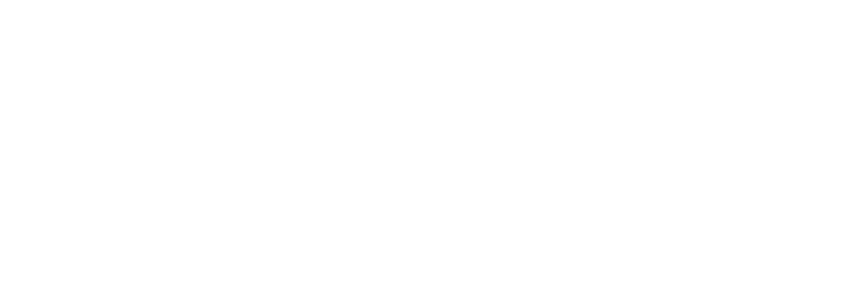 Project Rhino